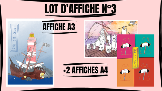 Lot d'affiche N°3