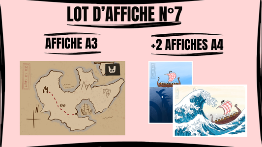 Lot d'affiche N°7